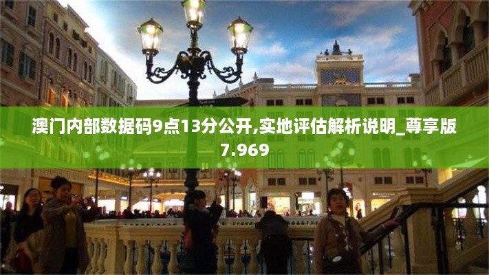 澳门内部数据码9点13分公开,实地评估解析说明_尊享版7.969