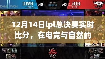 12月14日LPL总决赛实时比分，电竞与自然的交响，内心平静的决战背后故事