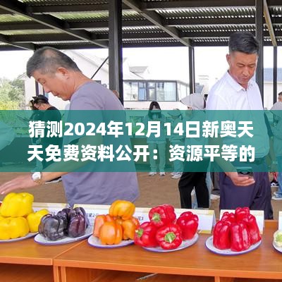 猜测2024年12月14日新奥天天免费资料公开：资源平等的新希望