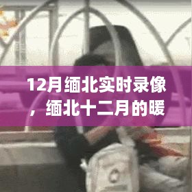 温情与友谊