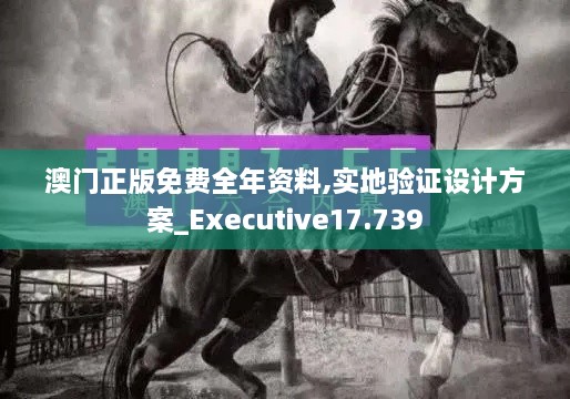 澳门正版免费全年资料,实地验证设计方案_Executive17.739