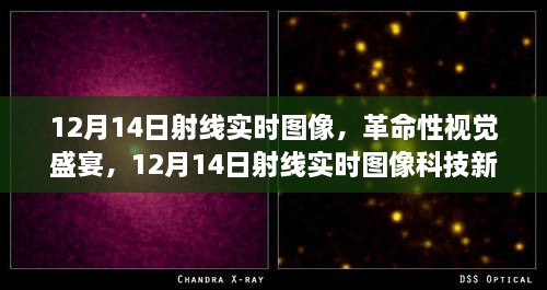 生活体验重塑