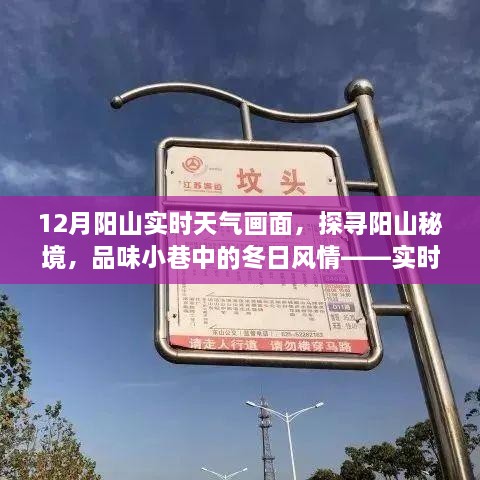 cuotuosuiyue 第6页