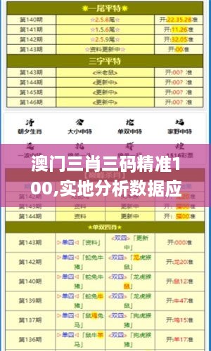 澳门三肖三码精准100,实地分析数据应用_8K9.983