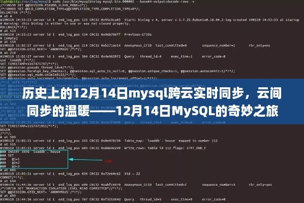 MySQL跨云实时同步的奇妙之旅，历史上的12月14日探索与云间同步的温暖