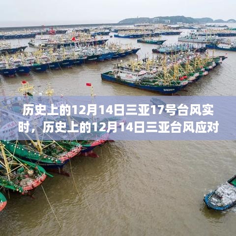 shiquanshimei 第7页
