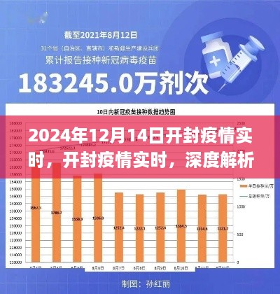 开封疫情防控深度解析，2024年开封疫情实时状况报告
