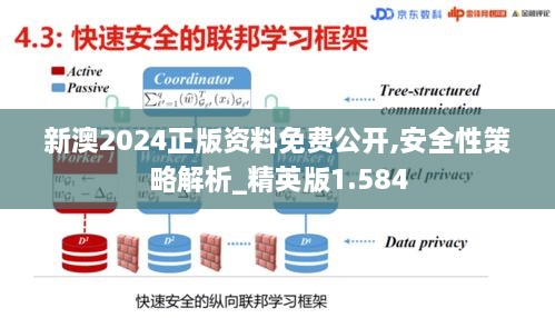 新澳2024正版资料免费公开,安全性策略解析_精英版1.584