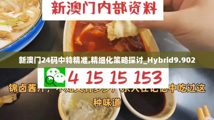 新澳门24码中特精准,精细化策略探讨_Hybrid9.902