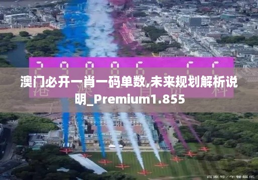 澳门必开一肖一码单数,未来规划解析说明_Premium1.855
