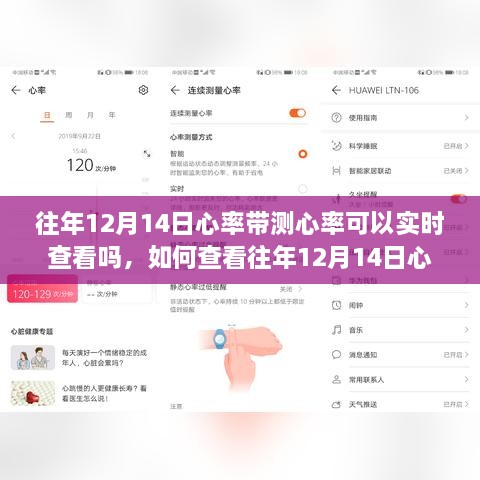 xichongyejian 第6页