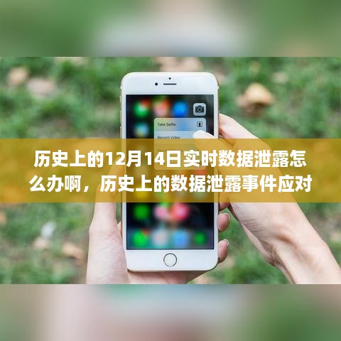 bulvrufei 第5页