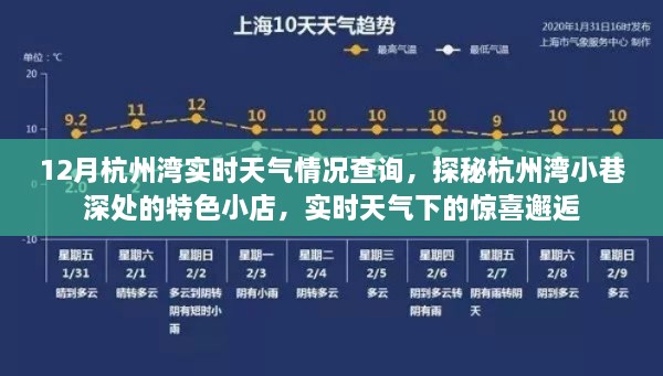 meifeisewu 第5页