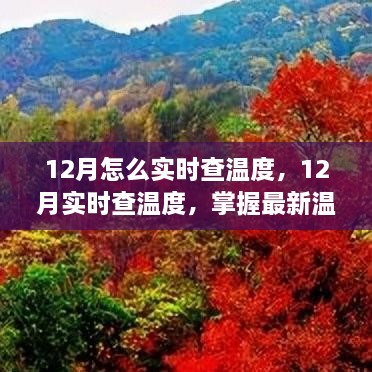 掌握最新温度动态，如何在十二月实时查温度