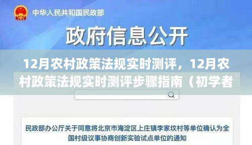 12月农村政策法规实时测评步骤指南，初学者与进阶用户均适用的全面指南