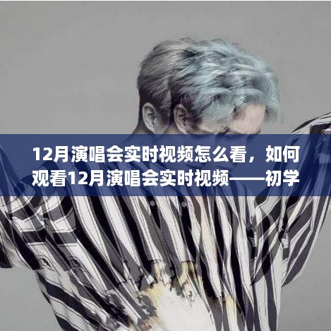如何观看12月演唱会实时视频，初学者与进阶用户指南