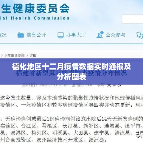 分析报告