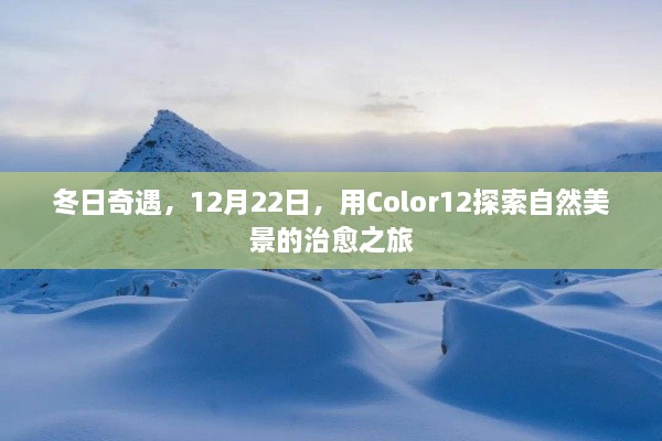 冬日奇遇，Color12治愈之旅探索自然美景的冒险之旅（12月22日）
