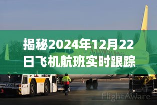 小红书揭秘，2024年12月22日飞机航班实时跟踪之旅的震撼体验