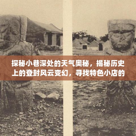 xianziyimao 第5页
