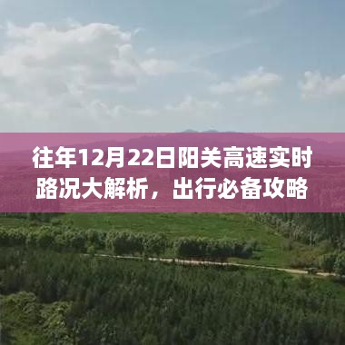 实时路况