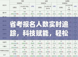 实时追踪