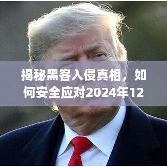 初学者与进阶用户指南
