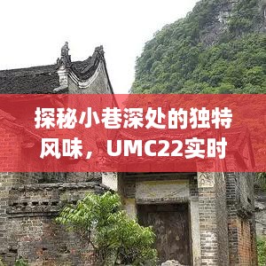 探秘小巷深处的神秘小店，UMC22实时监听下的独特风味之旅