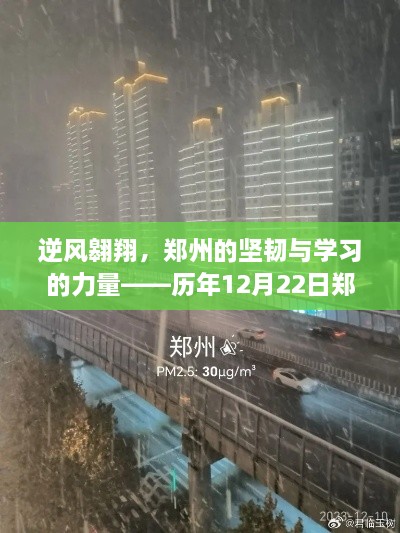 郑州逆风翱翔下的坚韧与学习力量，历年12月22日实时伤亡情况的启示