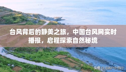 yongrongdianya 第5页