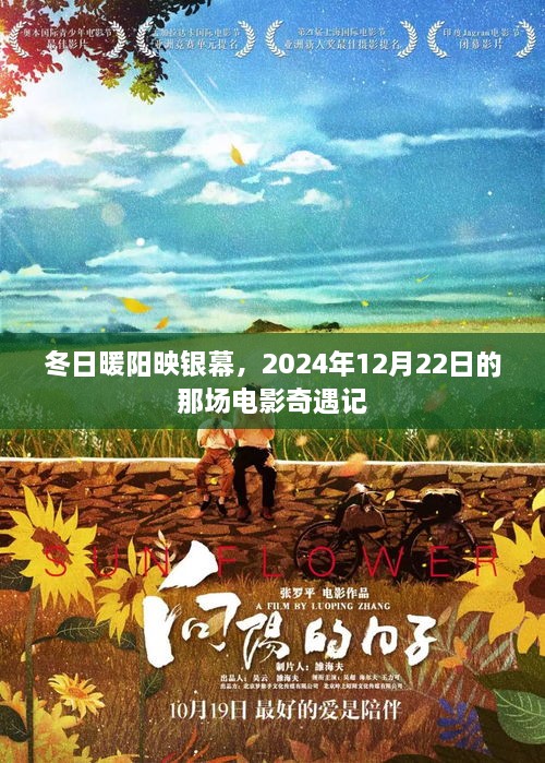 冬日暖阳下的电影奇遇，2024年12月22日的银幕盛宴