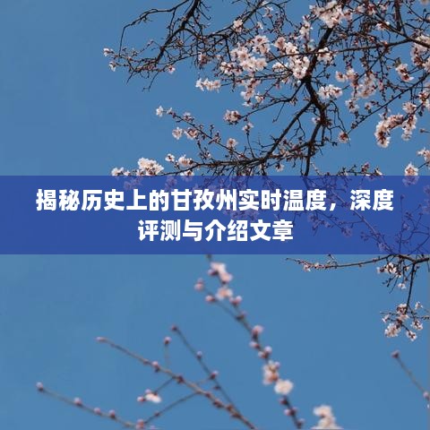 揭秘甘孜州历史实时温度，深度文章评测与介绍