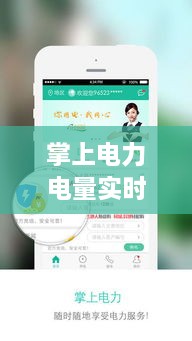 掌上电力电量实时掌控，深度评测与未来展望
