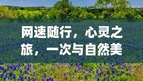 网速与美景的双重遨游，心灵之旅启程