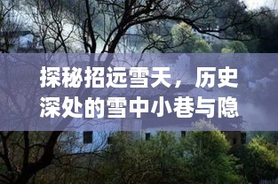 探秘招远雪天，历史小巷与美食之旅