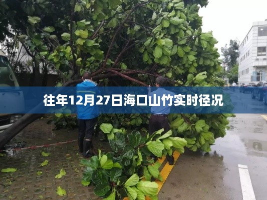 海口山竹历年12月27日实时情况分析