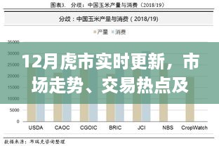 虎市最新动态，市场走势、热点交易与未来展望