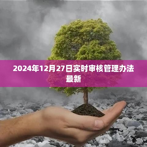 2024年实时审核管理办法最新动态