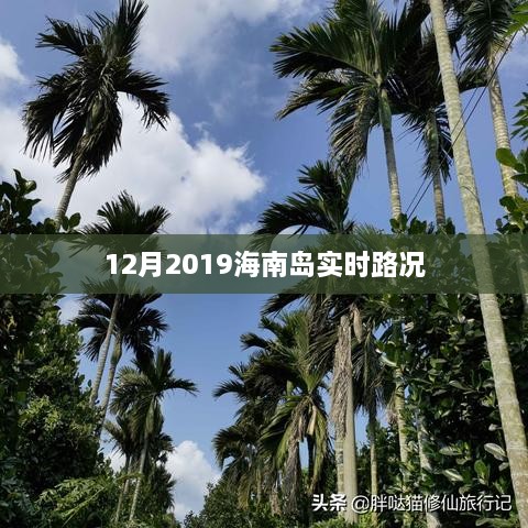 海南岛实时路况查询（最新更新）