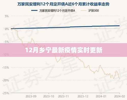 乡宁疫情最新实时更新报告（12月版）
