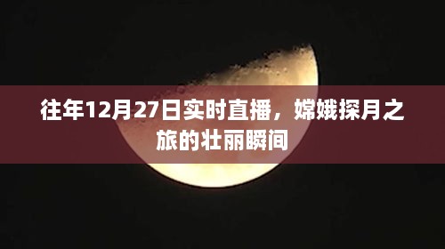 shibigongqing 第3页