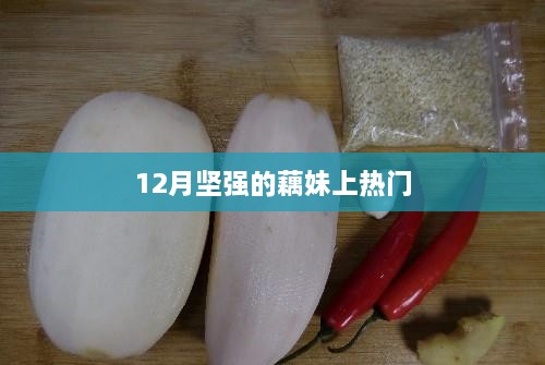 藕妹的坚强故事12月走红网络