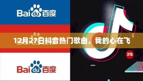 抖音热门歌曲排行，我的心在飞旋律飞扬