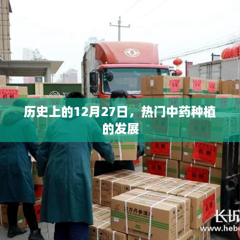 历史上的中药种植发展，热门中药种植在12月27日的进步与演变