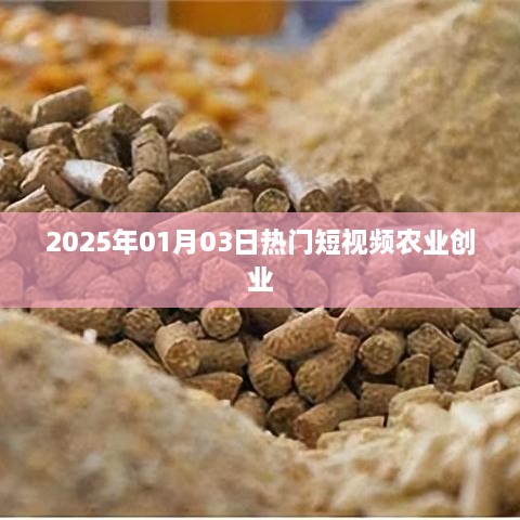 huazhizhaozhan 第3页