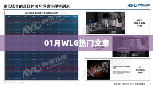 WLG热门文章精选，深度好文一网打尽