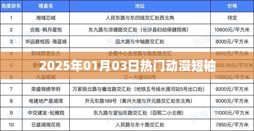 『2025年超火动漫短袖一览』