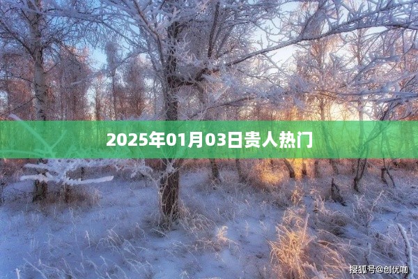 fuguibuyin 第2页