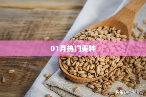 zhizaisifang 第2页