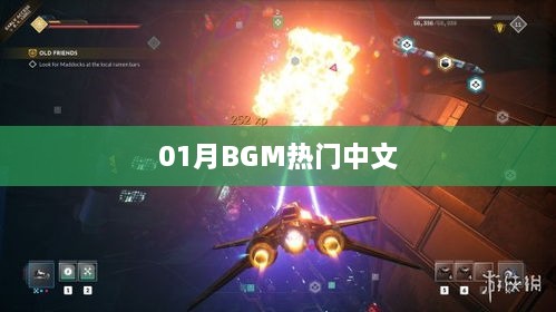 客户案例 第28页